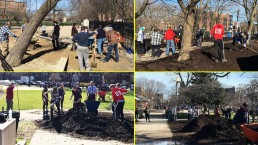 Wicker Park Advisory Council Earth Day Mulch Day Dog Park Cleaning 1920X1080